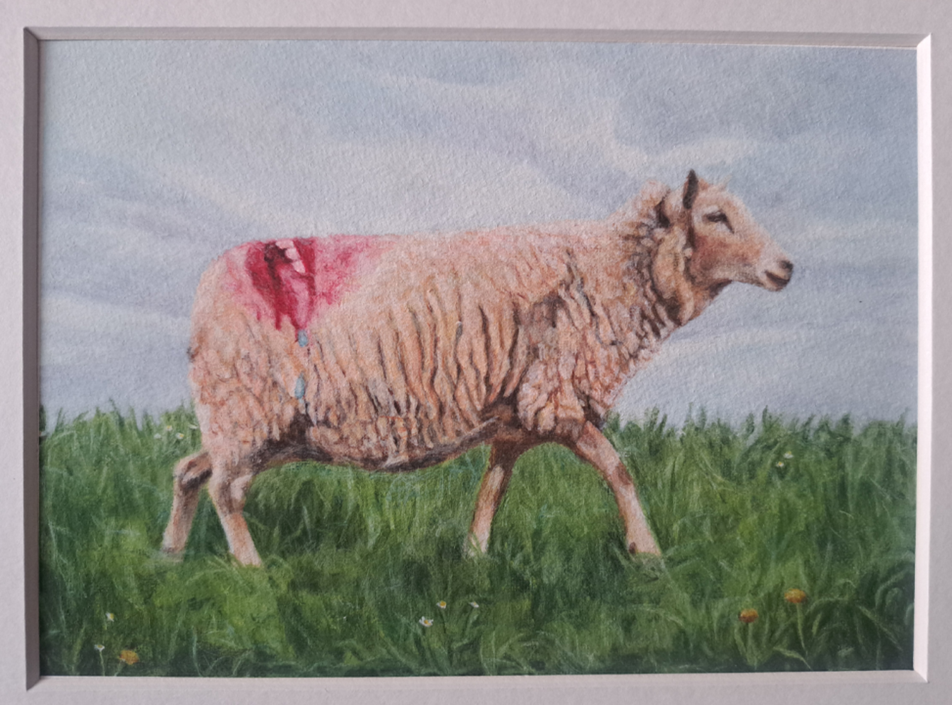 Humoristisch en realistisch uitgewerkt schaap van Celine Wessels. Dit werkt, wat oook is onder te verdelen als magisch realisme of magisch realistisch telt een schaap voor met graffitie, als persiflage op de gekleure konten die schapen hebben na te zijn gedekt.